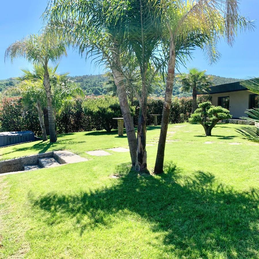 Quinta De Santa Ana, Em Vizela Apartment Infias Luaran gambar