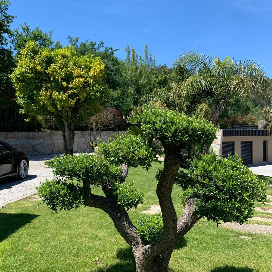 Quinta De Santa Ana, Em Vizela Apartment Infias Luaran gambar